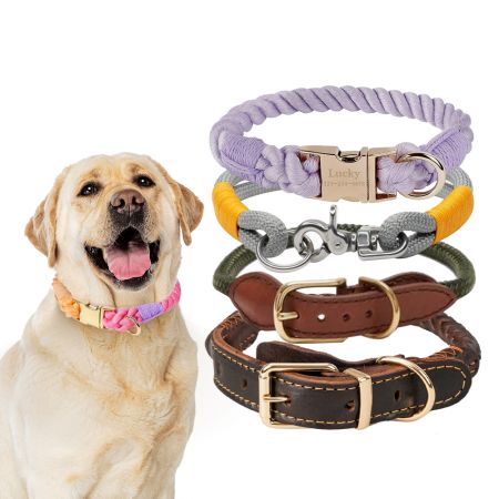 卸売ロープ犬用カラー - バルクの編みロープ犬用カラー